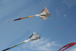 Ausflug Fanø