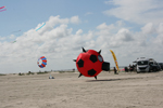 Ausflug Fanø