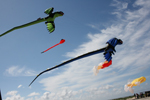Ausflug Fanø