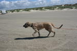 Ausflug Fanø