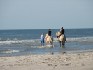 Vejers Strand