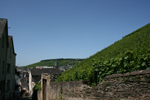 Bernkastel-Kues