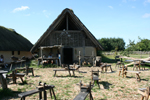 Ribe