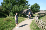 Ribe