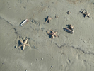Vejers Strand